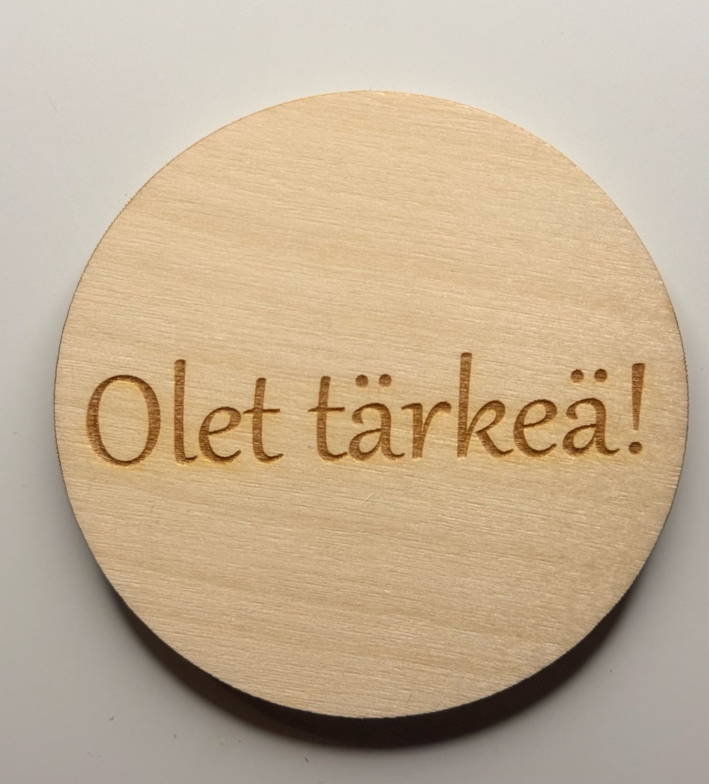 Jääkaappimagneetit