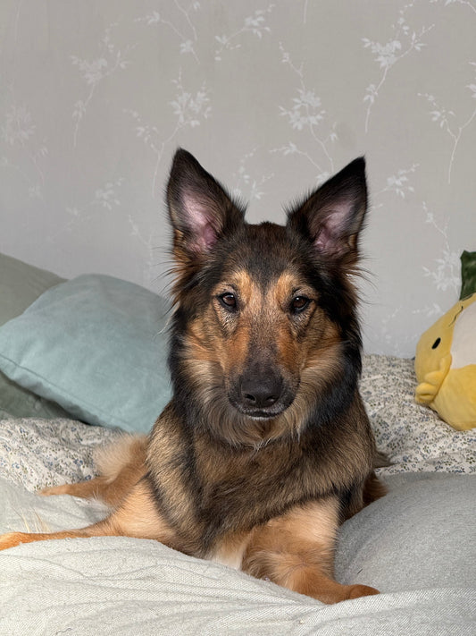 Muva™ Kehystetty posteri