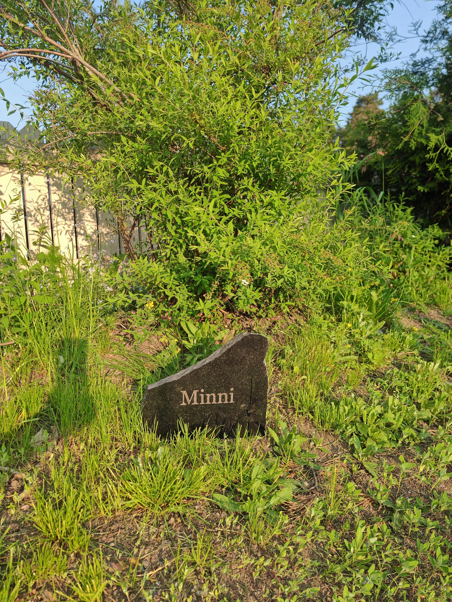 Pet Tombstone