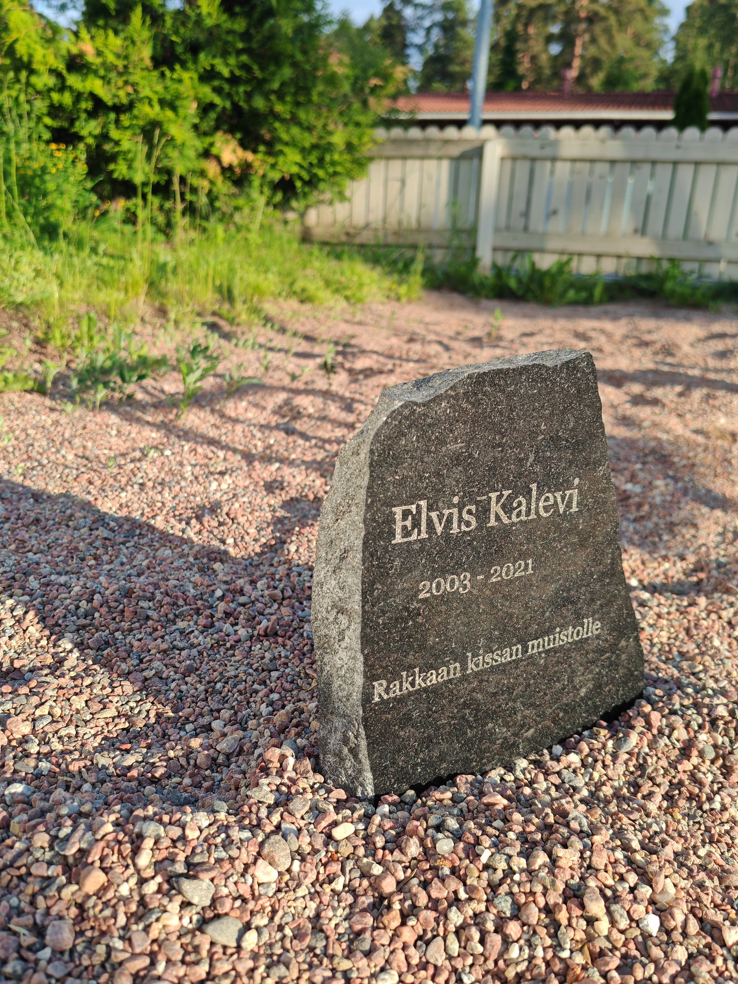 Lemmikin Hautakivi kaiverruksella, koiran / kissan hautakivi nimellä