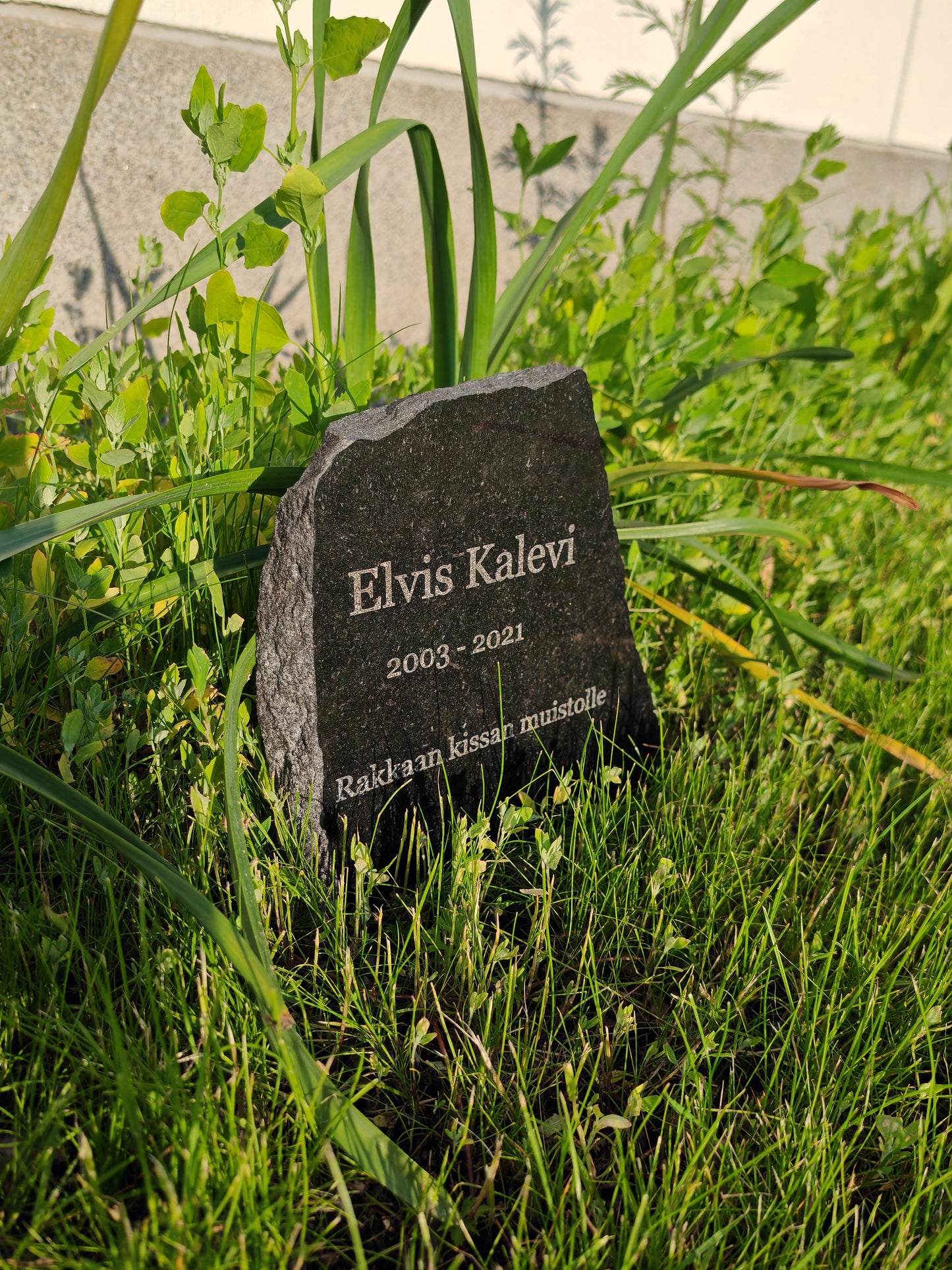 Pet Tombstone