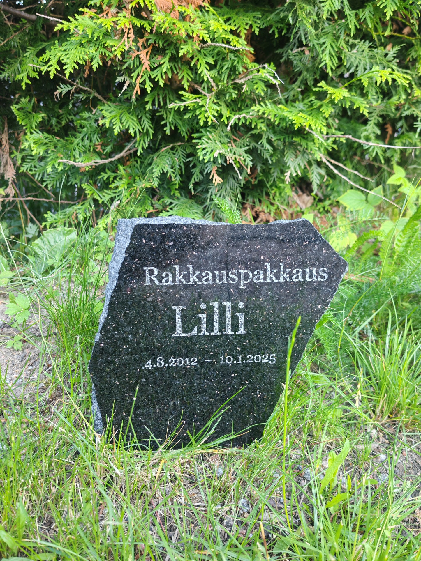 Pet Tombstone