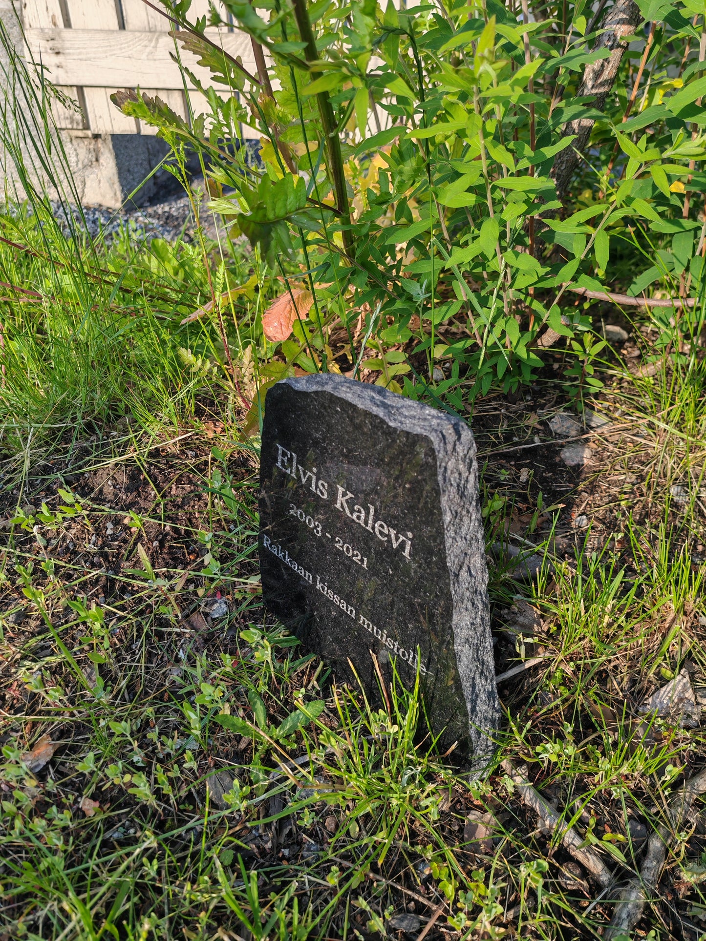 Pet Tombstone