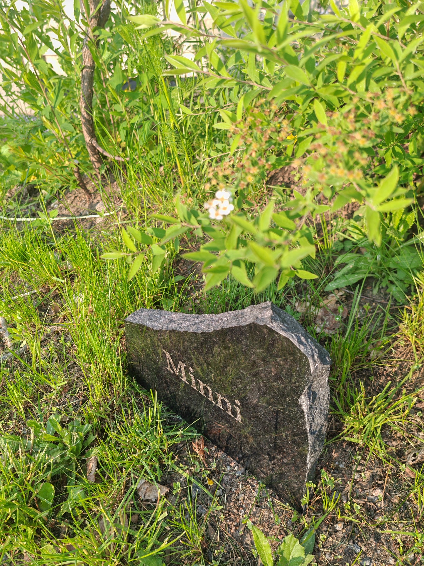 Pet Tombstone