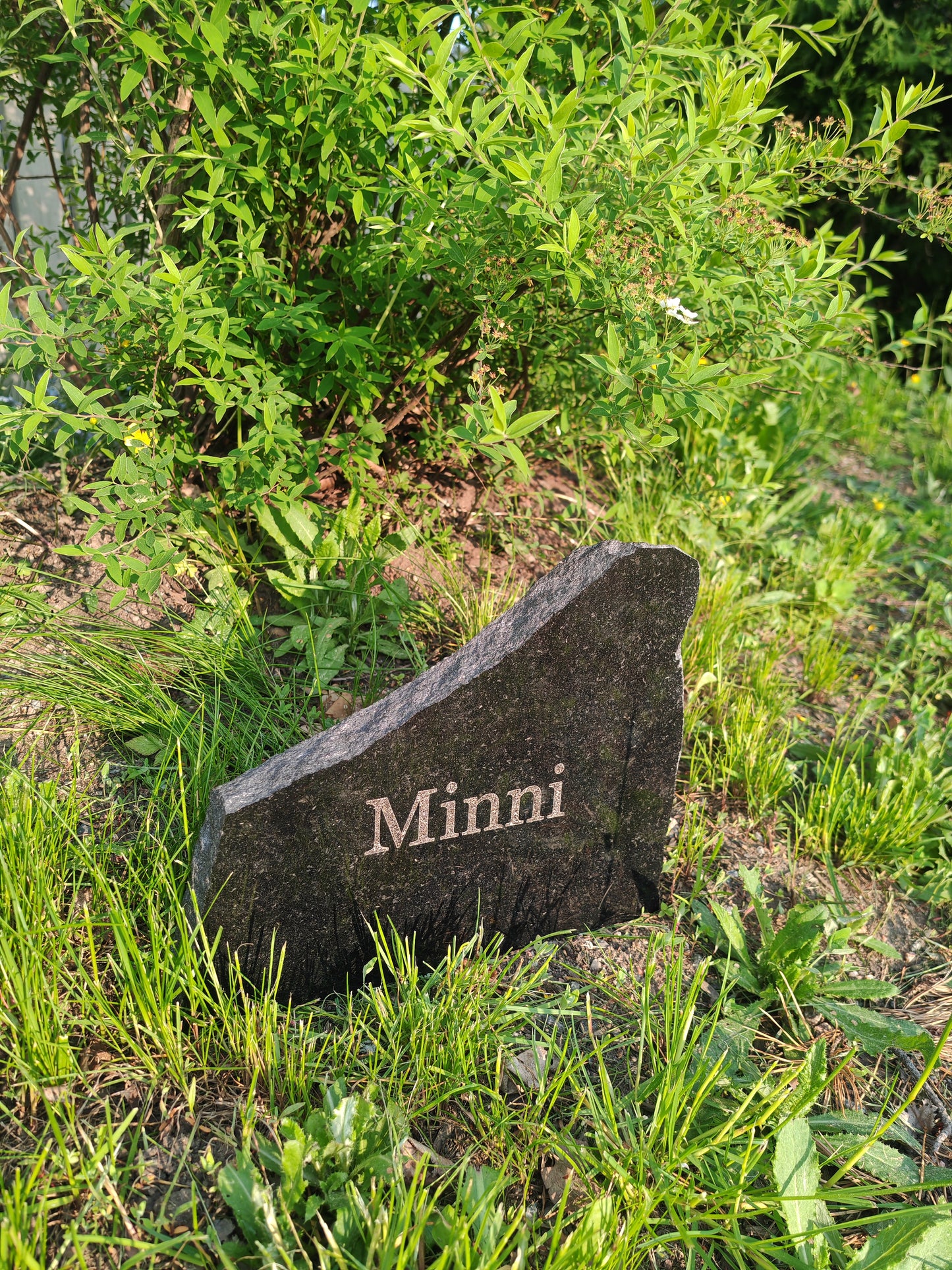 Pet Tombstone