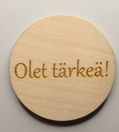 Jääkaappimagneetit