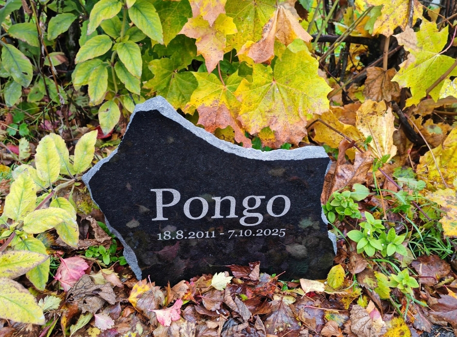 Lemmikin Hautakivi kaiverruksella, koiran / kissan hautakivi nimellä