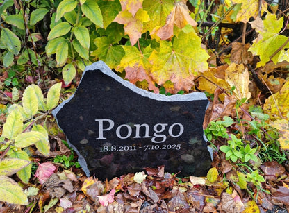 Lemmikin Hautakivi kaiverruksella, koiran / kissan hautakivi nimellä