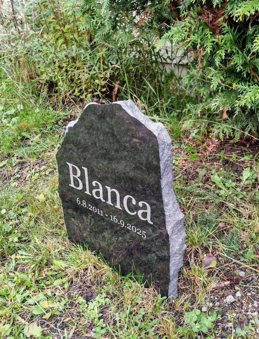 Lemmikin Hautakivi kaiverruksella, koiran / kissan hautakivi nimellä