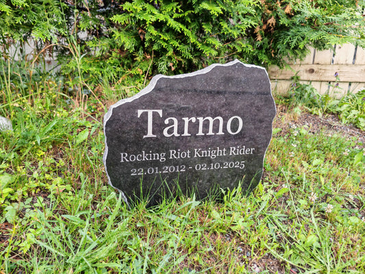 Lemmikin Hautakivi kaiverruksella, koiran / kissan hautakivi nimellä