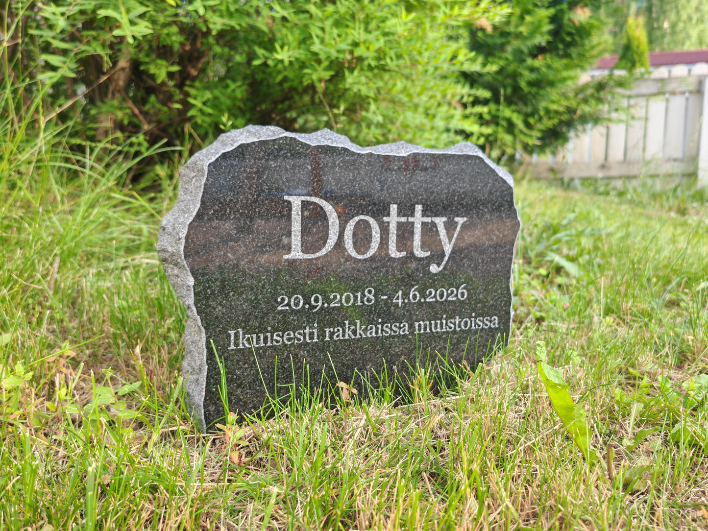 Lemmikin Hautakivi - Haukivi™ - Koiran ja kissan muistokivi kaiverruksella