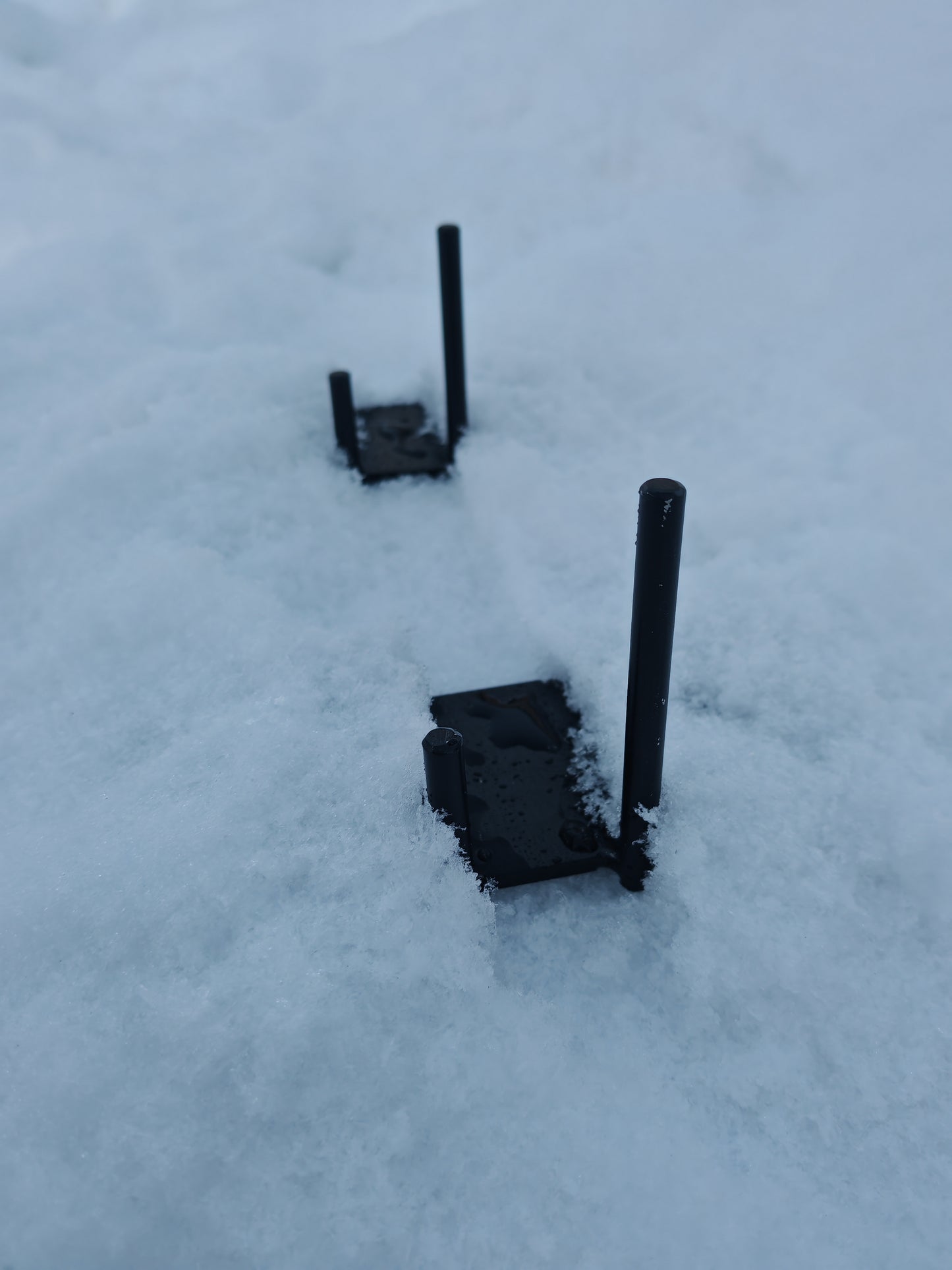 Lemmikin Hautakivi kaiverruksella, koiran / kissan hautakivi nimellä