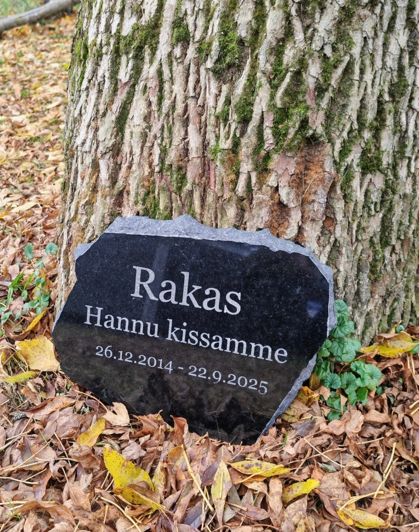 Lemmikin Hautakivi kaiverruksella, koiran / kissan hautakivi nimellä